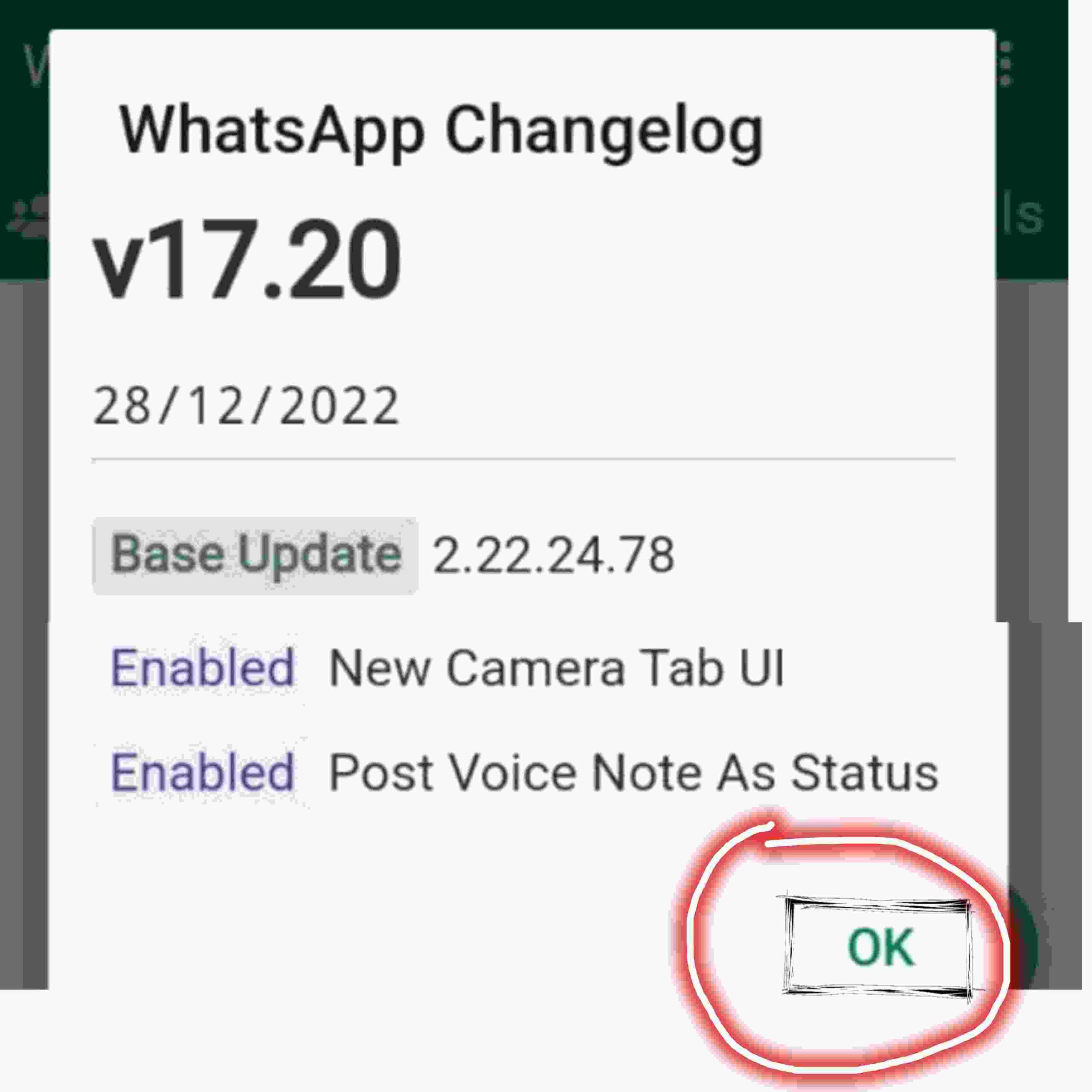 gb whatsapp details scaled
